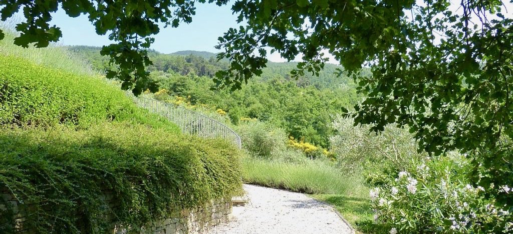 Garden Image