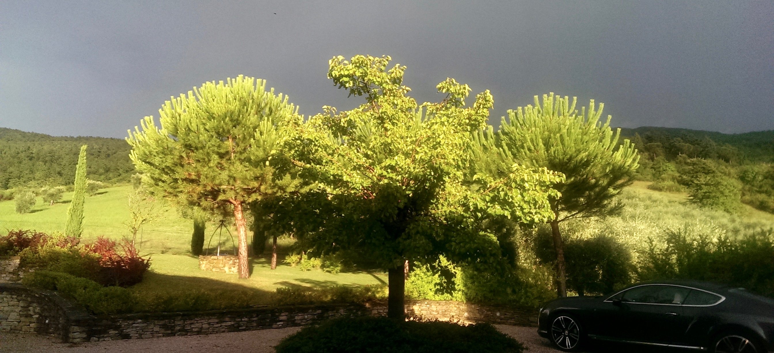 Garden Image