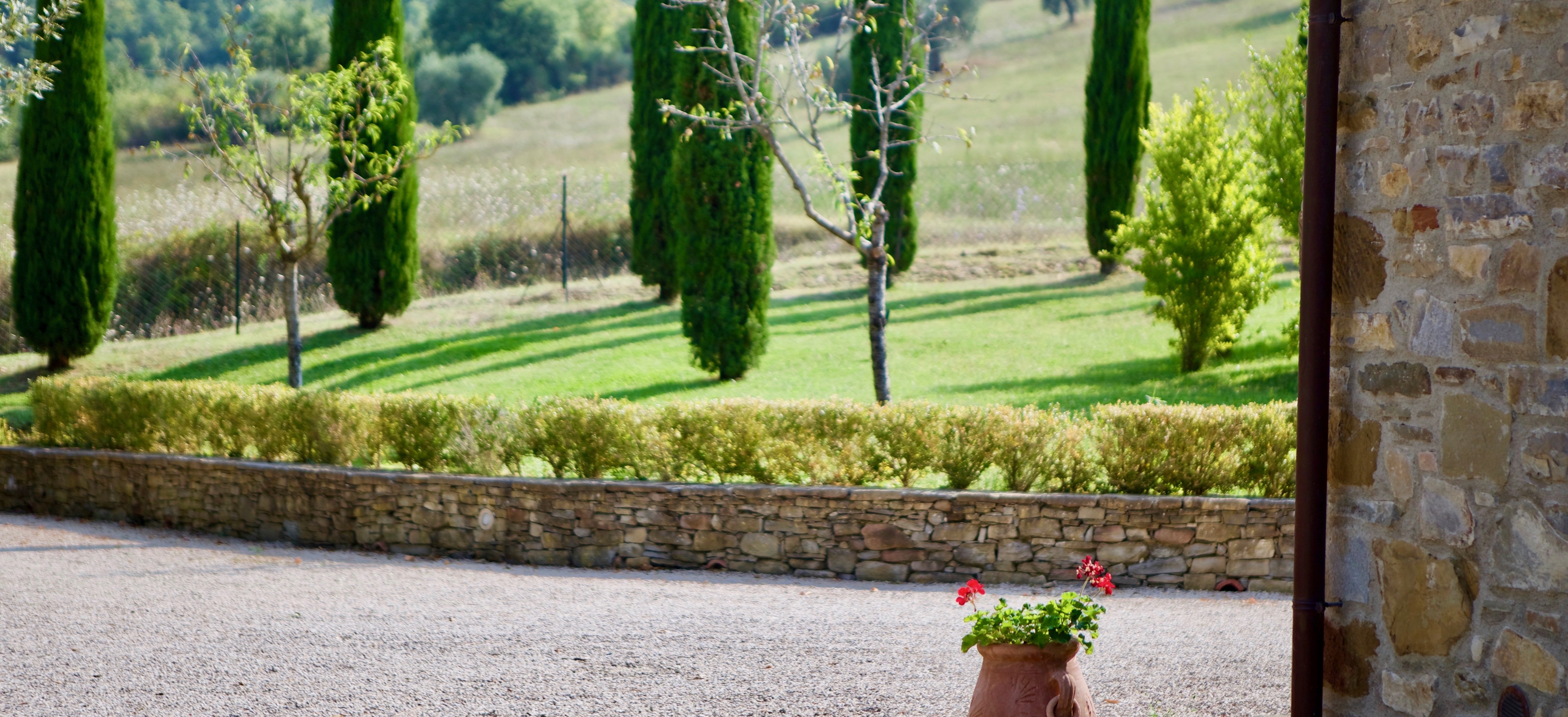 Courtyard Image