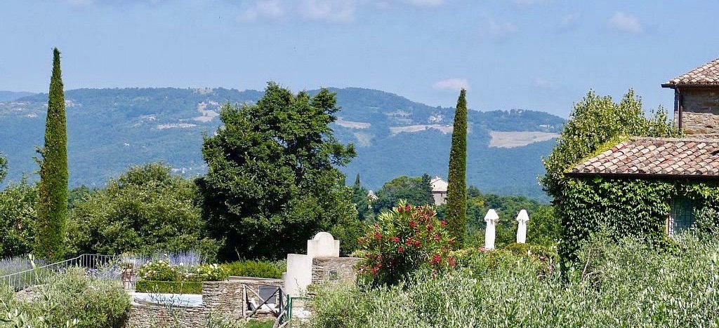 Garden Image